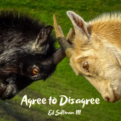 Agree To Disagree