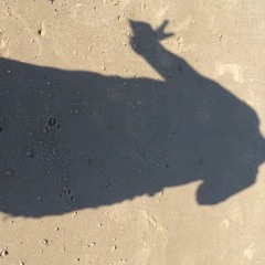 Shelltoe Mel and Gerry Barnett Fools Gold.