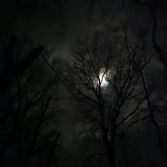 Любовь Это Отрицание Всего