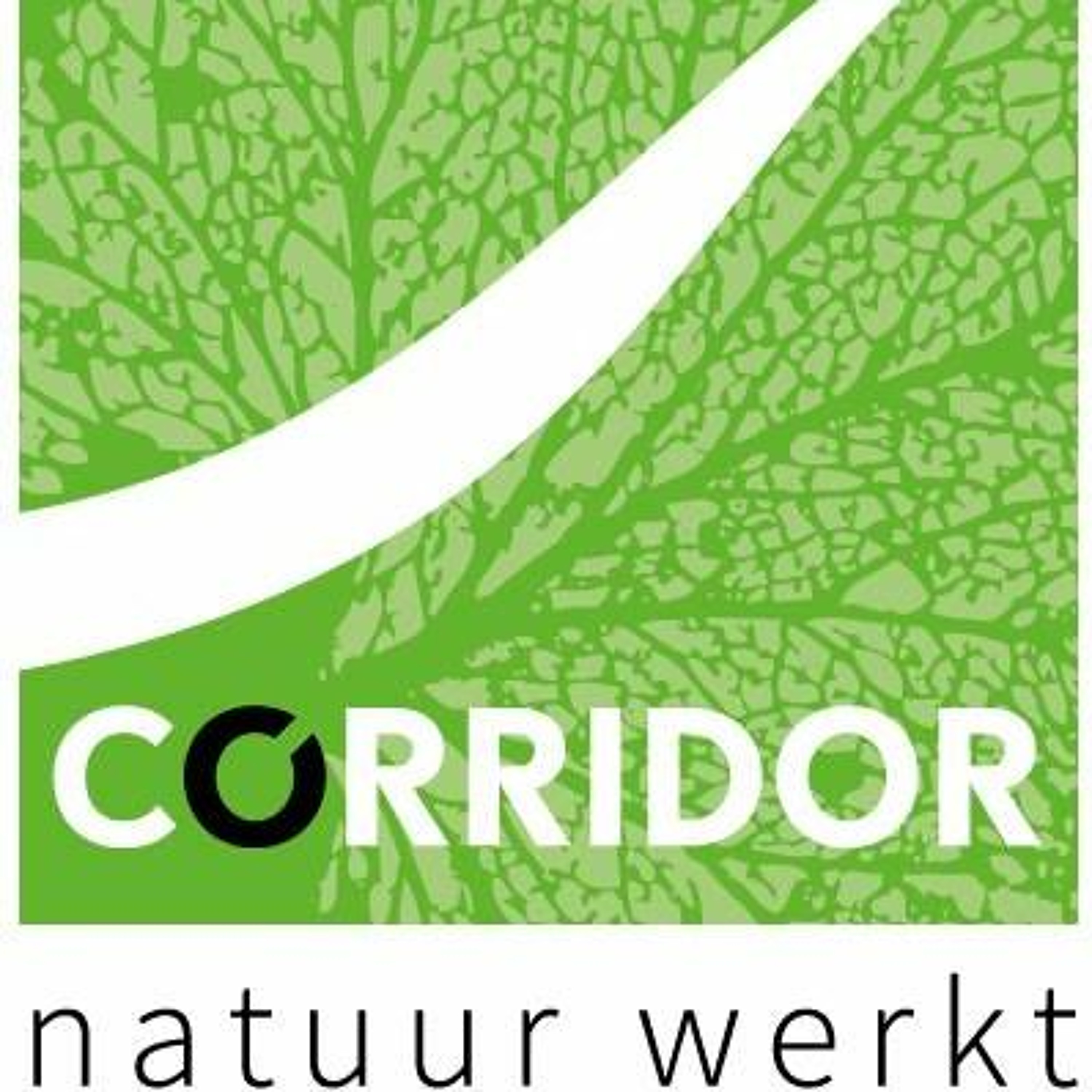 Corridor 4: met Rik Puls over inventarisatie en het ecoduct van het Hallerbos