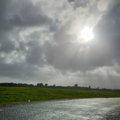 Okarito Dawn Chorus And Rain