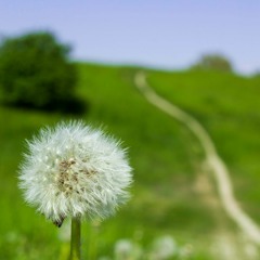 Peace with and without a cause - Part 1