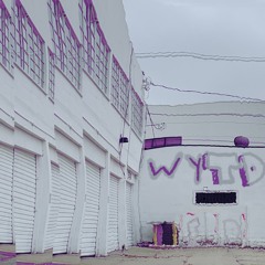 wytd