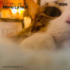 Marie La Nuit #129 - mixtape de musiques aimées