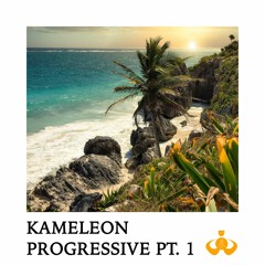 Dj Kameleon - Progressive Pt. 1