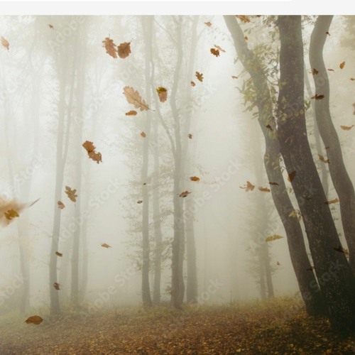 Don't Try To Find Me