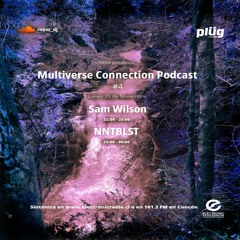 Multiverse Connection #4 Sam Wilson