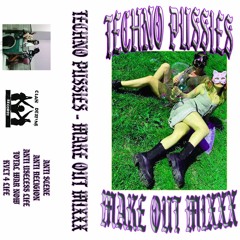 TECHNO PUSSIES - MAKE OUT MIXXX