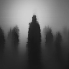 UNUM (FREE DL)