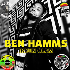BEN HAMMS - Tikkun Olam / TruMon Dubplate