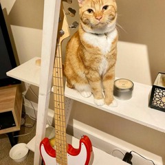 Shoegaze, dreampop & psych playlist #267*