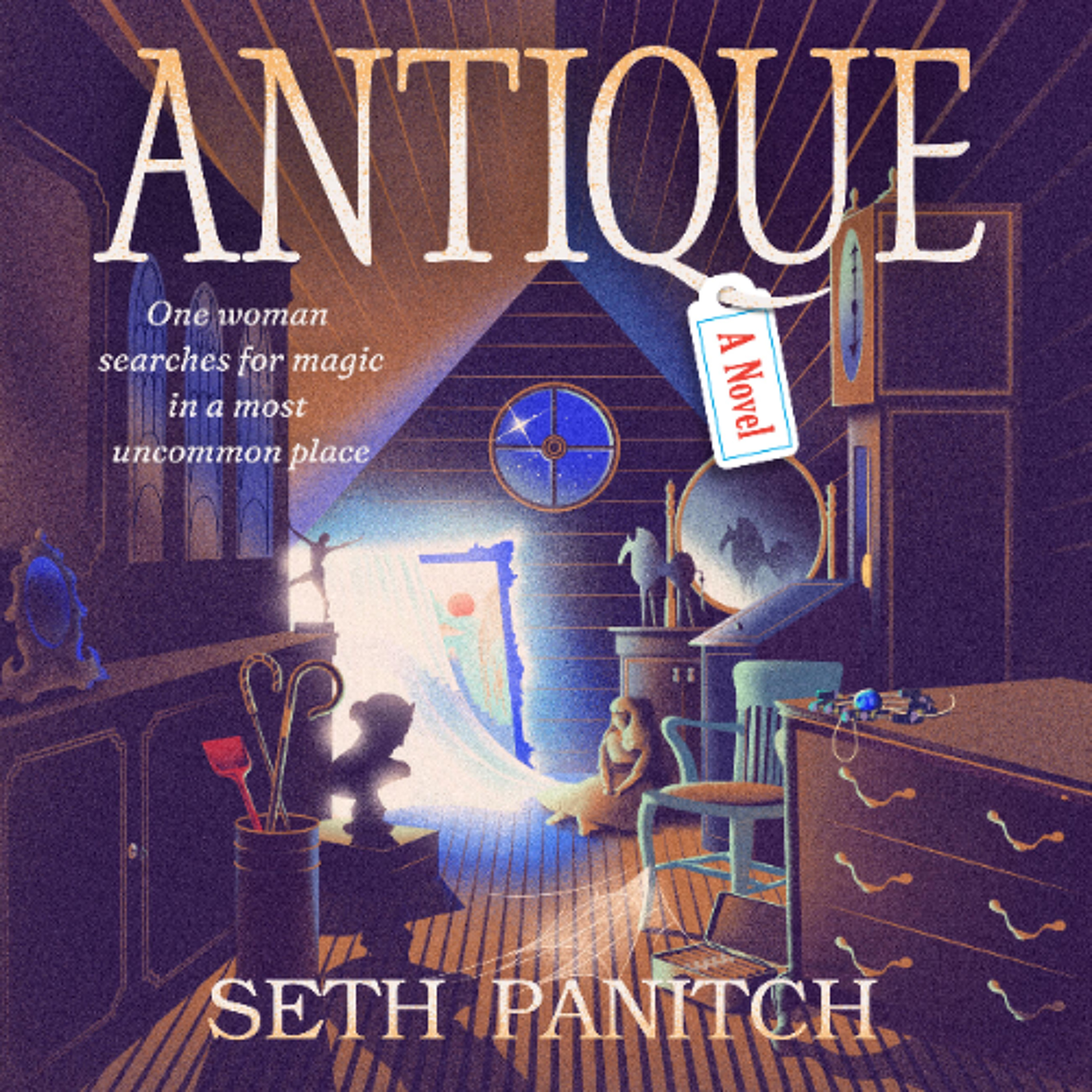 Antique by Seth Panitch Read by Christina DeLaine and Angus King