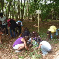 Earth Reclaimed: Restoring Nigeria’s Land by Dajie Odok