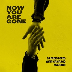 Now You Are Gone - Dj Fabio Lopes, Yann Camargo, Sgarioni