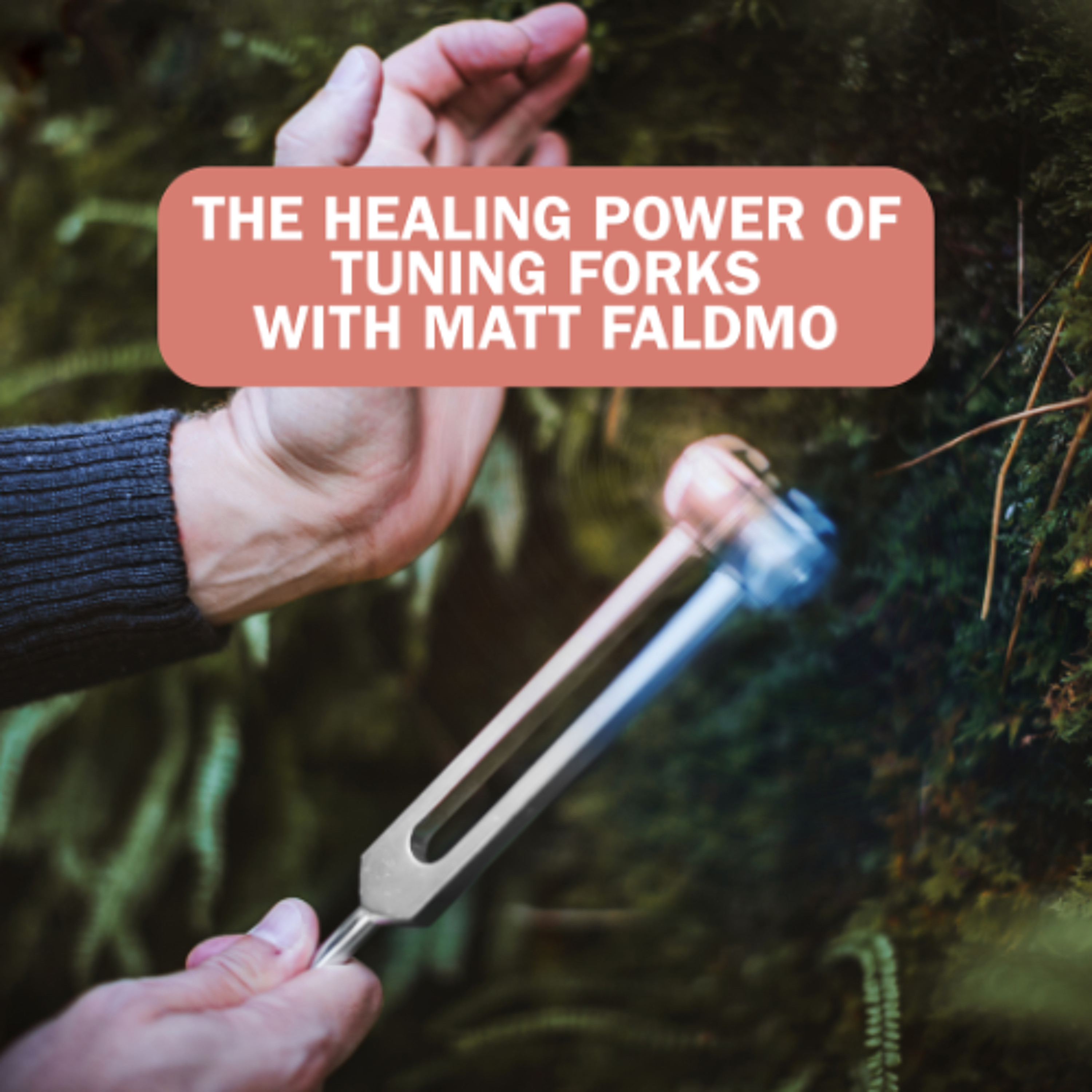 #176 : The Healing Power of Tuning Forks with Matt Faldmo