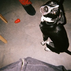 Dog (prod. by Blade)