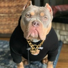 VIP