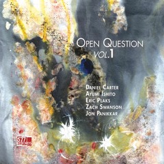 Daniel Carter, Ayumi Ishito with Plaks, Swanson, Panikkar : Synchronicity from Open Question Vol. 1