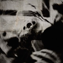 Loosing the person I once was