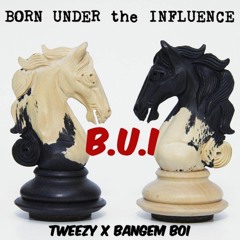 B.U.I. (BORN UNDER THE INFLUENCE)