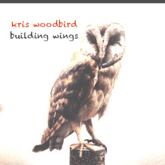 building wings