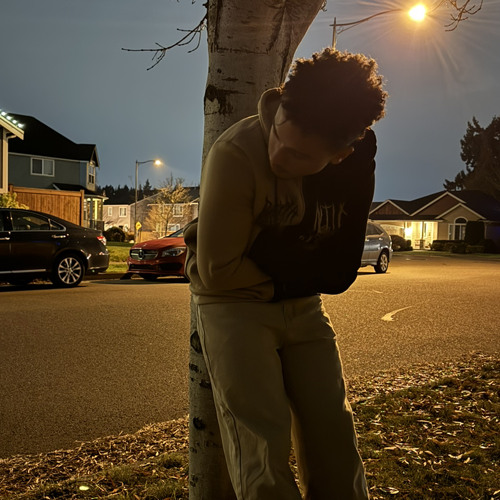 Scars (prod. brayden x aster)