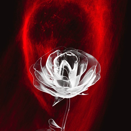 Algorithmic Affection