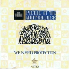Picnic At The Whitehouse – We Need Protection(Exclusive Dakeyne rmx)