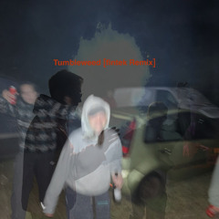 Puscifer-Tumbleweed [fintek Remix]