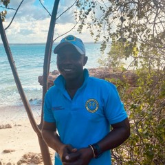 Tunakumbatia wito wa kupambana na mabadiliko ya tabianchi kwa vitendo - Vijana Bongoyo Tanzania