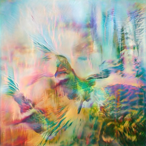 Seahawks - A New Star In The Sky