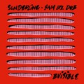 B.Visible Sonderling&#x20;Dub&#x20;&#x28;Sam&#x20;IRL&#x20;Remix&#x29; Artwork