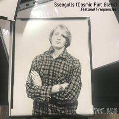 Sseagulls [Flatland Frequencies] [13.03.2021]