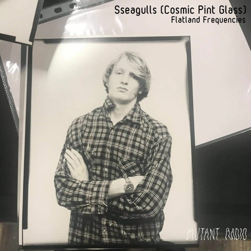 Sseagulls [Flatland Frequencies] [13.03.2021]