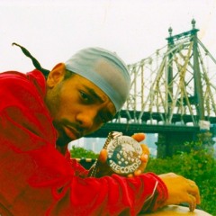 Mobb Deep - Rare Species [REMIX]