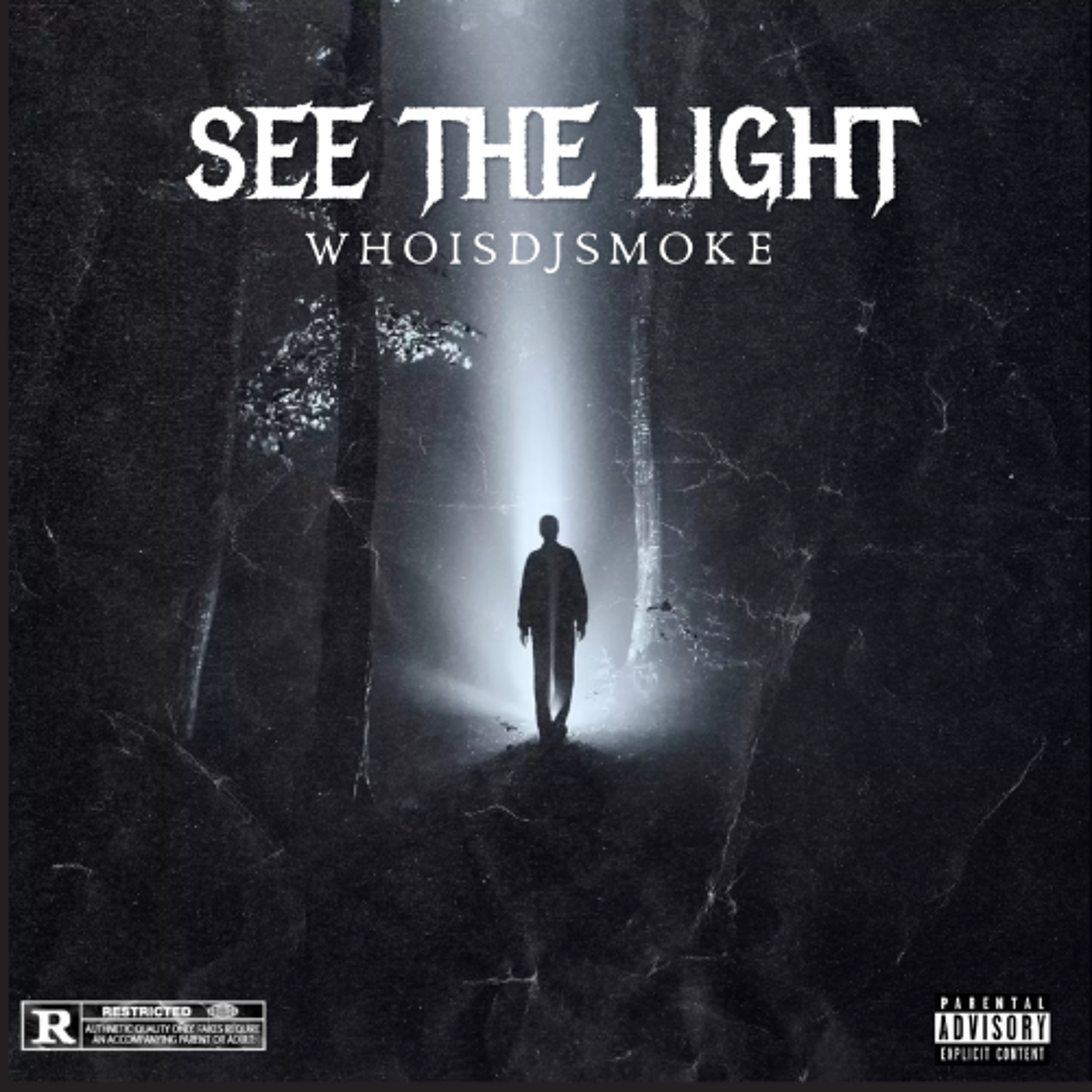 See The Light episode artwork