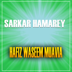 Sarkar Hamarey
