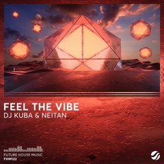 DJ KUBA & NEITAN - Feel The Vibe