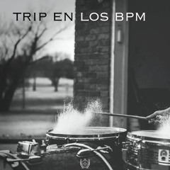 Trip En Los Bpm (EP)