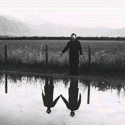 Cosmik Brothers -Into The Woods - THE SHIVERING (BUSH/ZENON/DARK PROG)