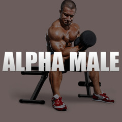 "Alpha Male" - Hype Hip Hop Beat | Party Rap Instrumental