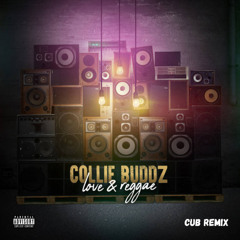 Collie Buddz - Love & Reggae (Cub Remix) FREE DOWNLOAD