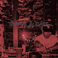 boots&cats