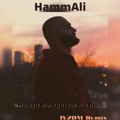 HammAli - На что мы тратим жизнь (IV2DM Remix)