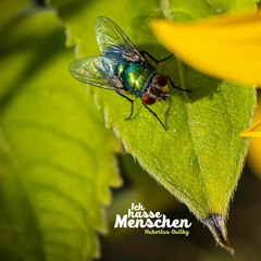 Ich hasse Menschen