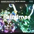 Sander Van Doorn X Selva X Macon - Raindrops (noexcuses Remix)