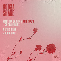 Electric Birds (Sentre Remix)