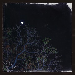 WELCOME TO THE JUNGLE (DJ MIX)