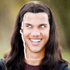 Taylor Lautner