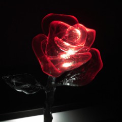 Your Love